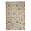 Floral Area Rug in Ivory/Brown