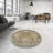 Oriental Indoor Rug-1609680898