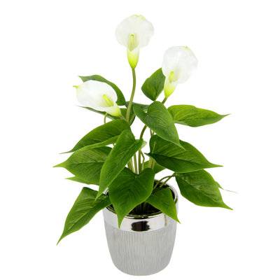 Kunstpflanze Calla im Topf Künstliche Blumen Kunstblumen Seidenblumen Kunststoff Deko Real Touch 