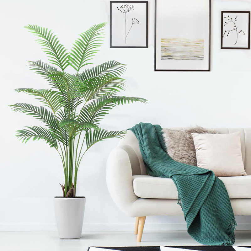 183cm Plant