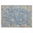 Machine Washable Indoor/Outdoor Mattis ACN2302 Global Rug-760628534