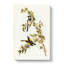 White Cheeked Honeyeater by Elizabeth Gould - Wrapped Canvas-55305267