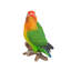 Statue perroquets on branch