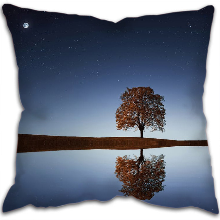 Rogan Square Cushion