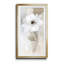 Sheer Elegance II - cadre photo, reproduction d'art sur papier-1699003158-1630643762
