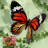 2PACK Resistant 3D Butterfly Window Stickers Self-Adhesive Wall Decor