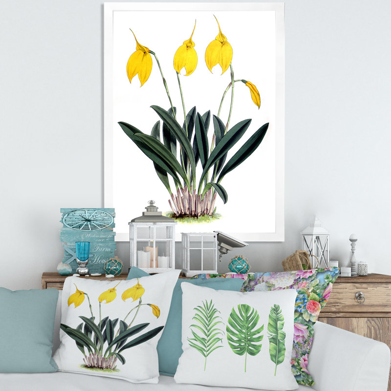 Fleurs rétro orchidées - reproduction de cadre photo sur toile, H 32 po x l 24 po x P 1 po, Blanc