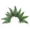 Vickerman 16-18" Fern Green Fern- Parchment, 10 stems, Preserved