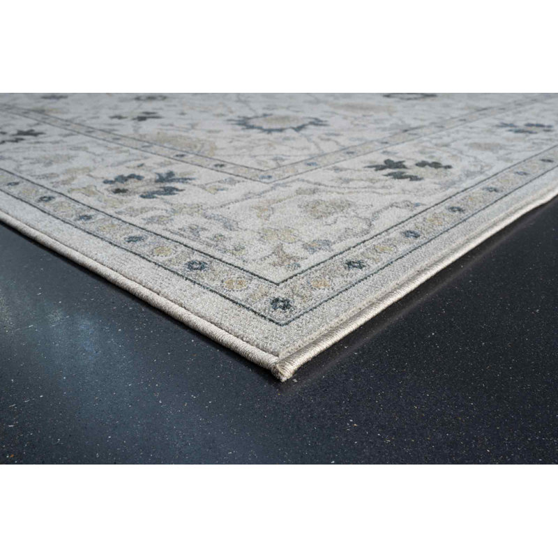 Chaniqua Oriental Area Rug, Rectangle 80 x 150cm