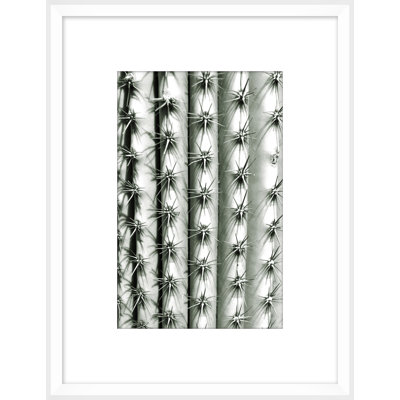 «Silver Spike Small 3» par Christopher Kennedy - photographie encadrée sur papier