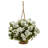 Geranium Hanging Basket UV Resistant