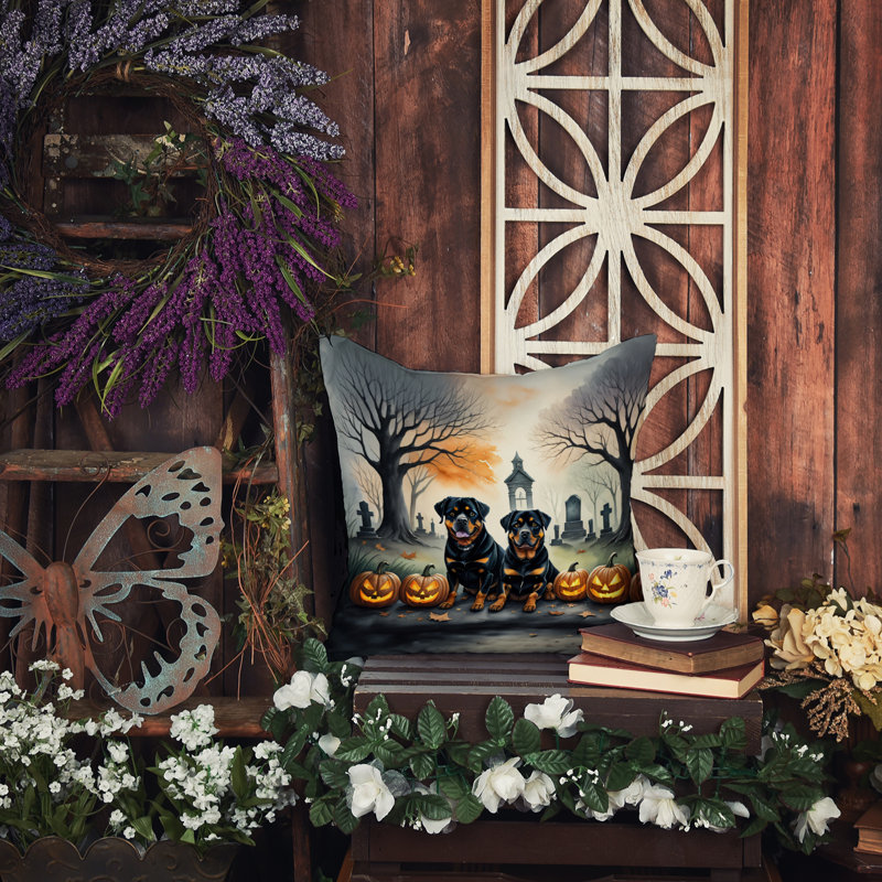 Other/No Pattern Outdoor Throw Pillow, 14" x 14"