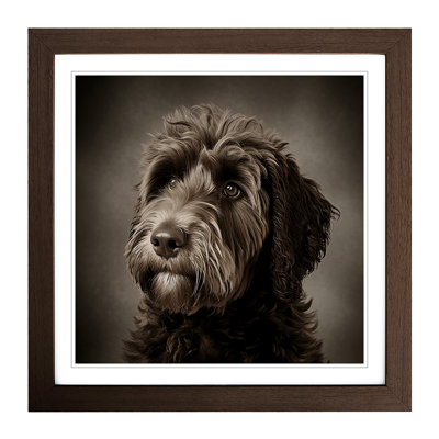 Labradoodle Photograph No.1 - Framed Print