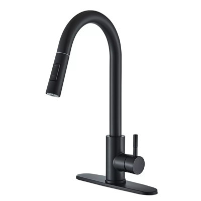 AlenArtWater Pull Down Kitchen Faucet