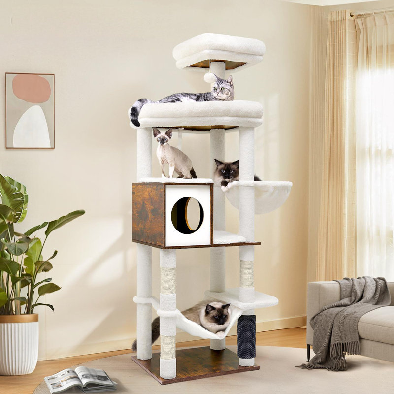 Tour pour chat à plusieurs niveaux H 66 po