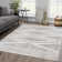 Dounia Modern Performance Gray Area Rug