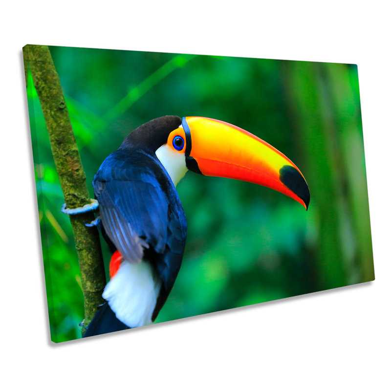 Toco Toucan Bird Rainforest - Wrapped Canvas Print, 30.5cm H x 45.7cm W x 2cm D