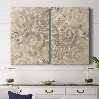 Fossil Nautilus I-Premium Gallery Wrapped Canvas -Ready to Hang