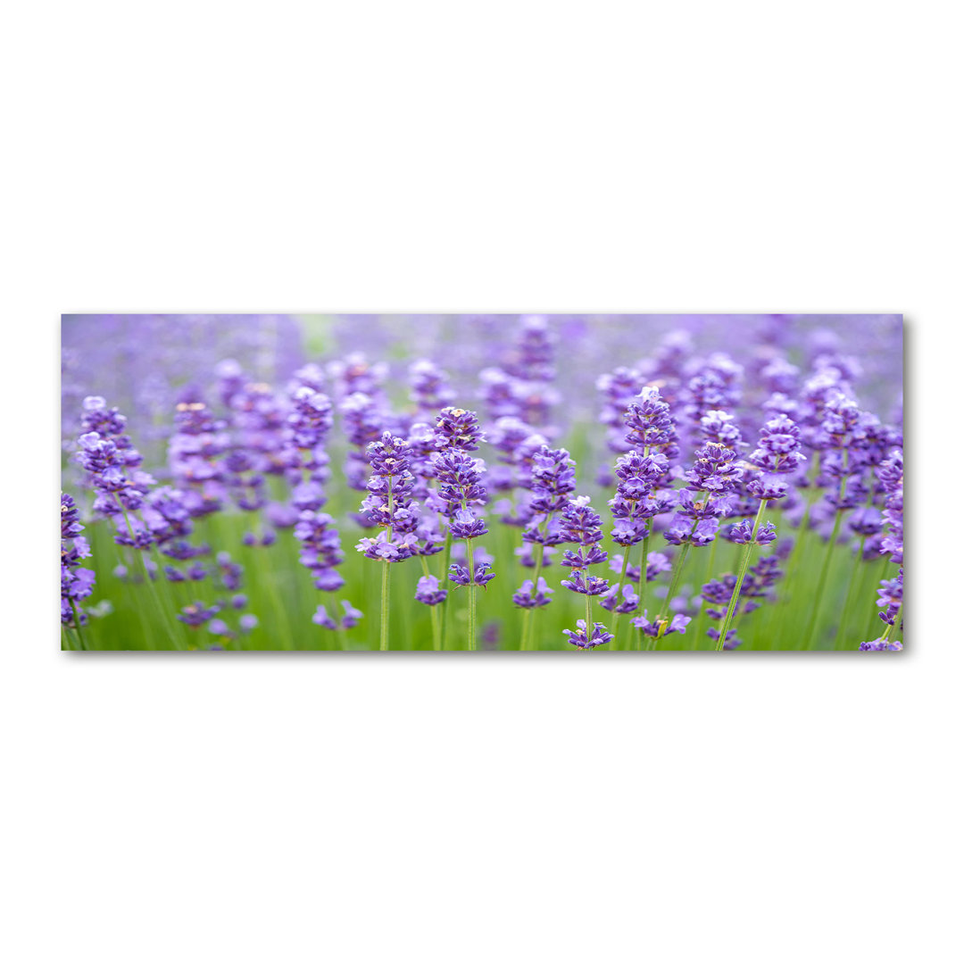 Lavendel - Ungerahmte Fotografie auf Leinwand