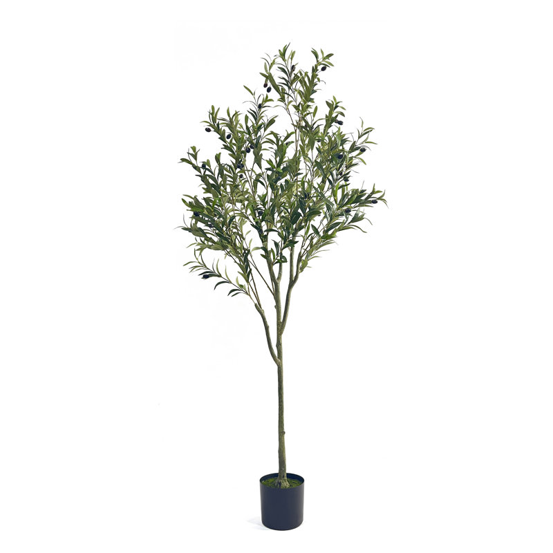 Aarav Faux Olive Tree Tree in Pot, 71" H x 27" W x 27" D