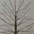 2' Pre-Lit Halloween Black Twig Tree