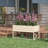 Raised Garden Bed