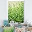 Herbes, thym, passage 2 - Art floral-1611448842-1611448841