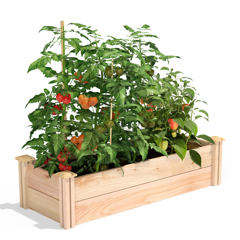 Platebande surélevée en cèdre Tingsley, H 11 po x l 48 po x P 16 po