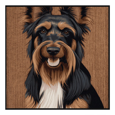  Tapis lavable pour chiens belges Tervuren