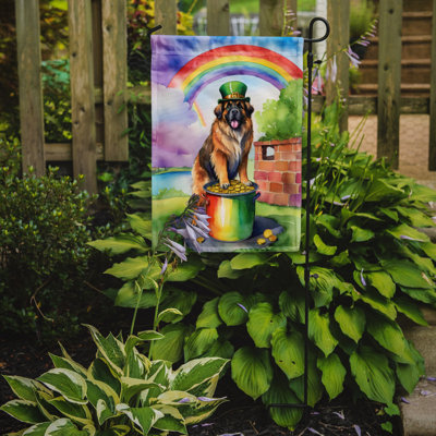 Drapeau de jardin double face en polyester H 15,5 po x l 11,25 po St Patrick's Day