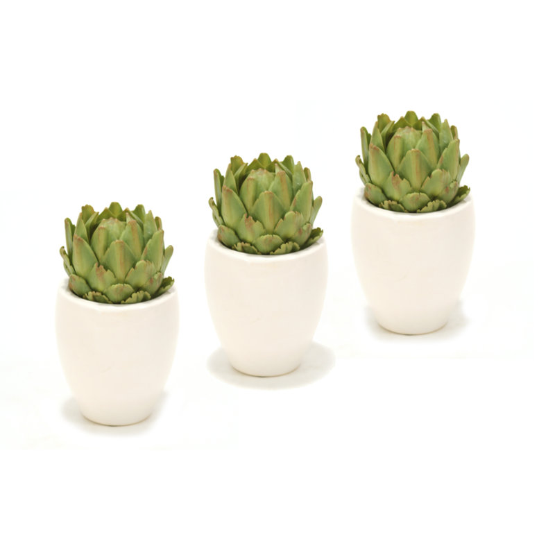 Arrangement in Pot