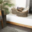 Ensemble de 2 paniers en ruppie maritime