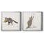Rascally Raccoon III - ensemble de 2 cadres photo-866149555-866149554-861547198