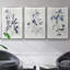 Harlequin Botanical I, ensemble de 3 toiles encadrées sur toile-97792453-97792455