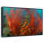 Floating Frame Black