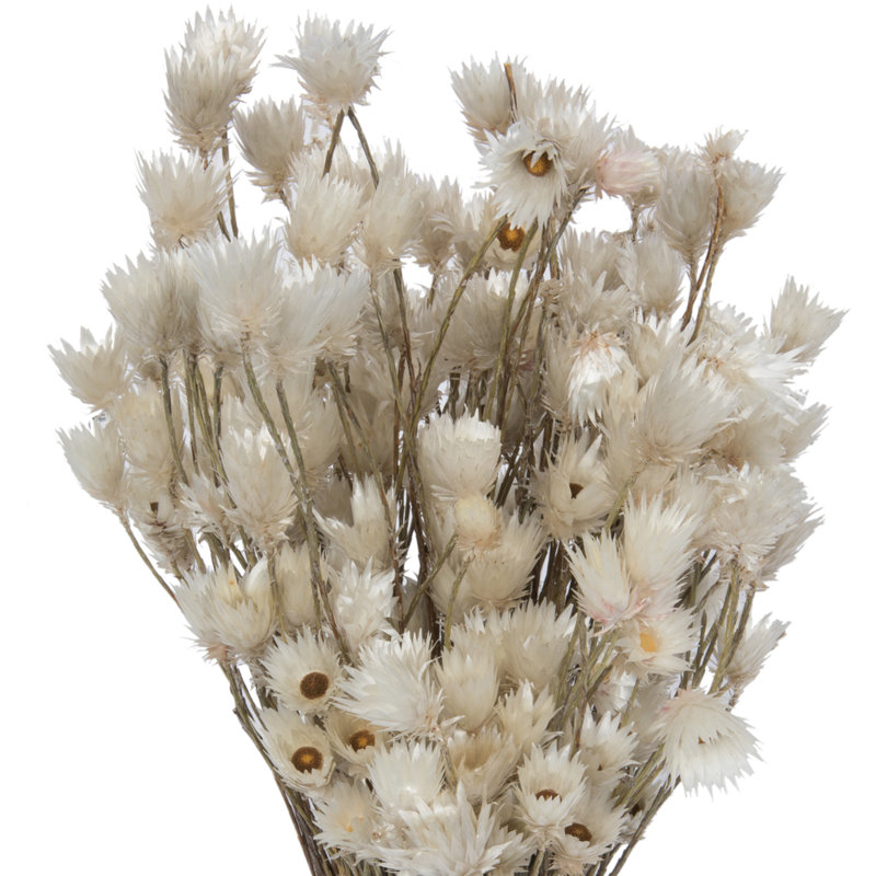 Centre de table naturel Vickerman