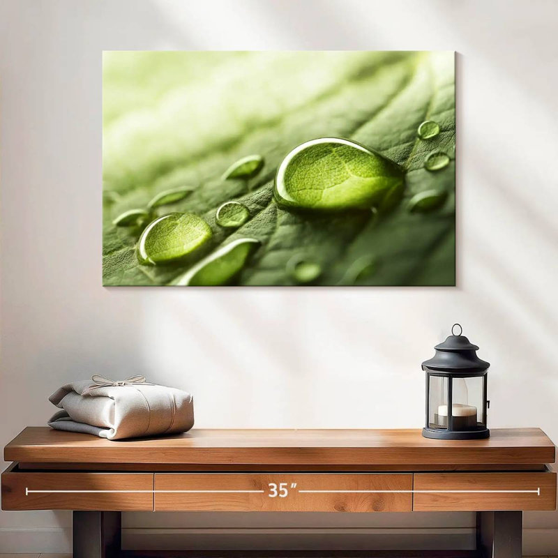 Harnek Dewdrops sur feuille verte, H 16 po x l 24 po