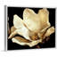 «Buttercream Magnolia I», art mural sur toile-809893009-809893010