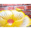 Gini Freestanding  Bird Bath