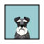 Schnauzer, impression sur toile tendue-19741976-74757714-74757715
