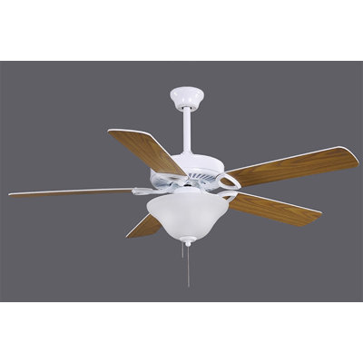 Ceiling Fan with LED Lights