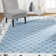 Modena Oriental Indoor Rug
