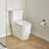 Toilette allongée deux pièces Essence 1,28 GPF (économe en eau) (siège inclus)