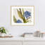 «Blue Ginger» par Jacob q, impression sur bois encadrée-100672340