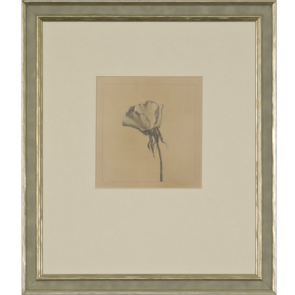 «Rose III» par Daughdrill - peinture encadrée
