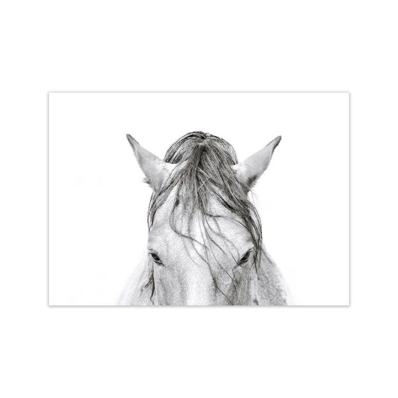Horse II by Victoria Frost - Print, Unframed, 42cm H x 59cm W x 1cm D