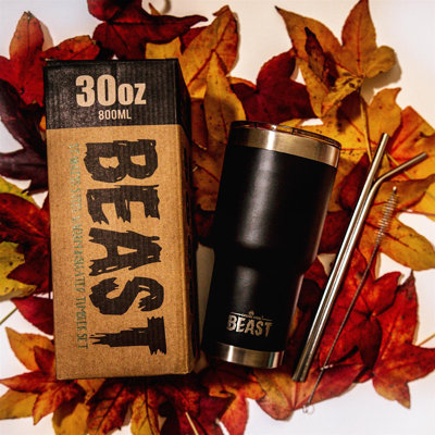 Dyzi 30.0 mL Double Wall Insulated Stainless Steel Travel Tumbler with
