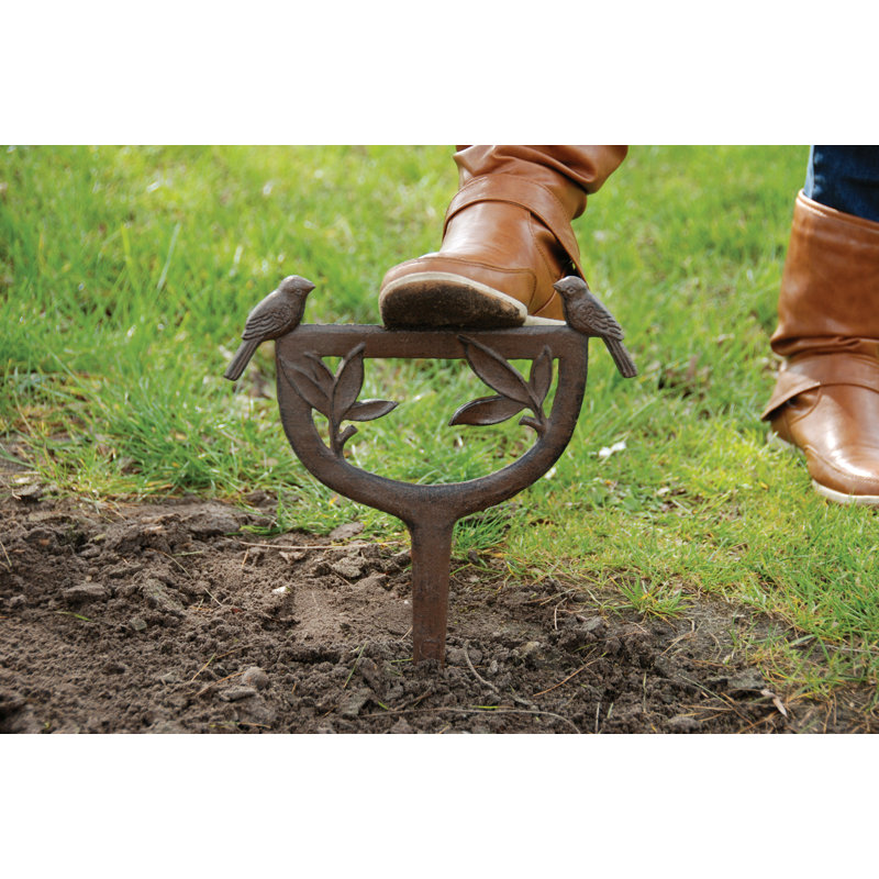 Boot Scraper (Bird)