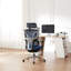 Demani Office Chair with Headrest