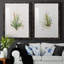 Gardenaire I - Ensemble de 2 peintures-450448134-450448129